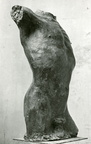 Männliches Torso