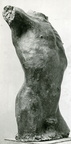 Männliches Torso