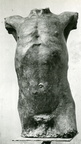 Männliches Torso