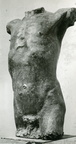 Männliches Torso