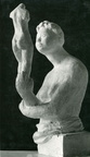 Frauenbüste mit Torso Modell