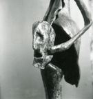 Kleine Salome, Studie zu Grosse Salome