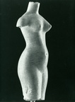 Weiblicher Torso