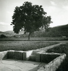 Wegkreuz  meditativer Zugang