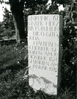 Julia Halbeisen Scherrer Grabmal