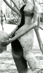 Grosse Salome