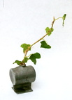 Blumenvase